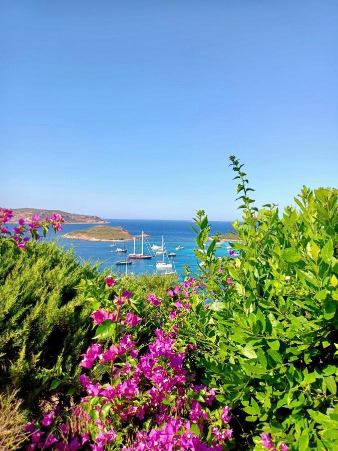 Ferienwohnung San Teodoro Punta Est Fantastico Trilocale Vista Mare Capo Coda Cavallo Exterior foto